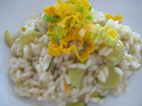 Risotto ai fiori di zucca