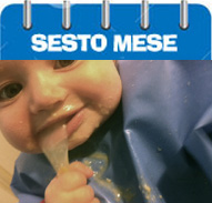 Sesto mese di vita del neonato